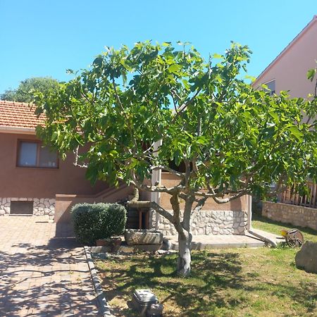 Apartmani Goga Biograd Na Moru Eksteriør bilde