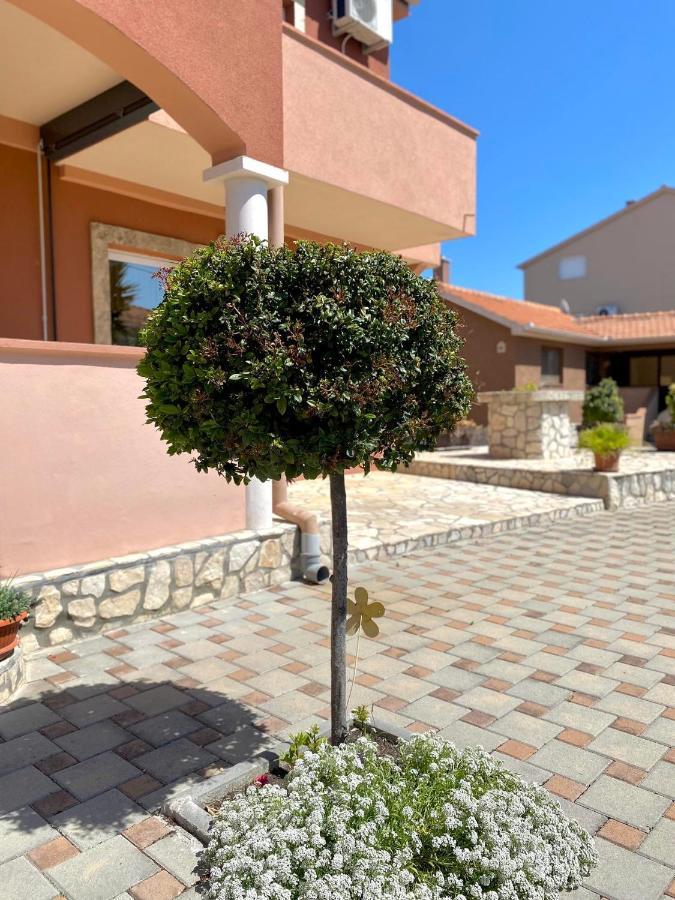 Apartmani Goga Biograd Na Moru Eksteriør bilde
