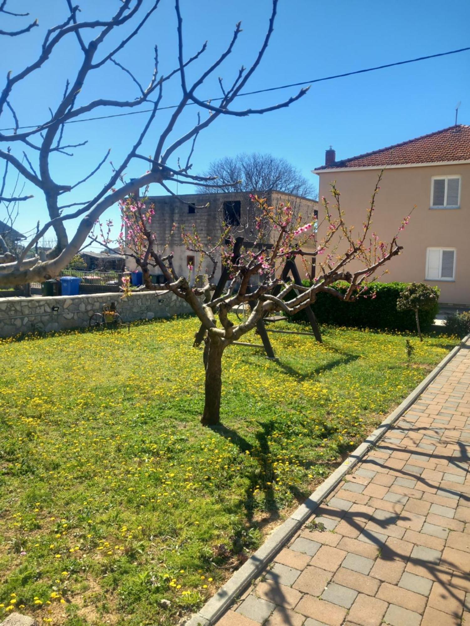 Apartmani Goga Biograd Na Moru Eksteriør bilde